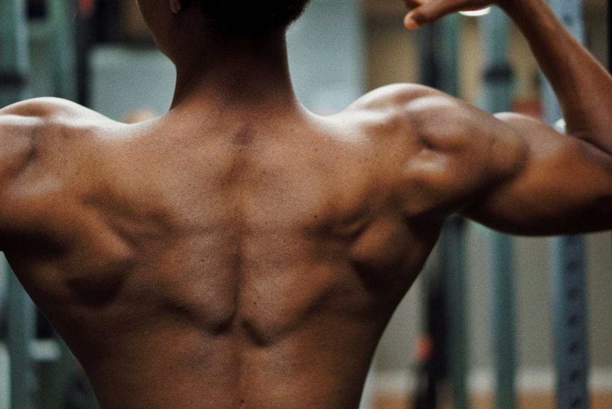 Progressive muscle recovery stages from amino acid supplementation
